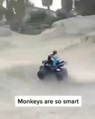 monke'