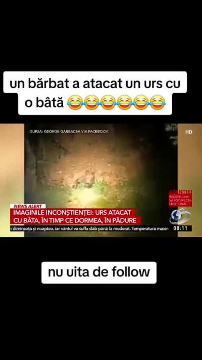 100 bărbați vs 1 gorilă? ❌ 1 rom&acirc;n cu b&acirc;ta vs un urs ✅