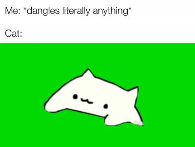 No matter what they&rsquo;re doing too