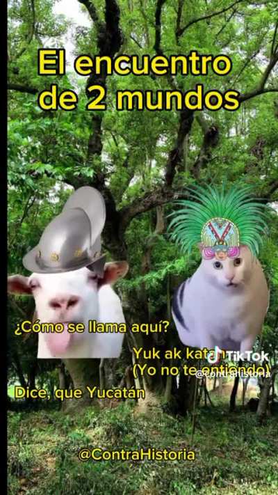 Hola 