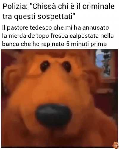 Sto stronzo