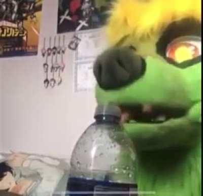 furry_irl