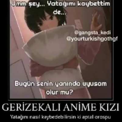 &Ccedil;aldım