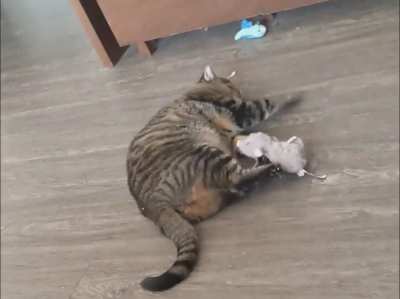 Catnip time for Goku