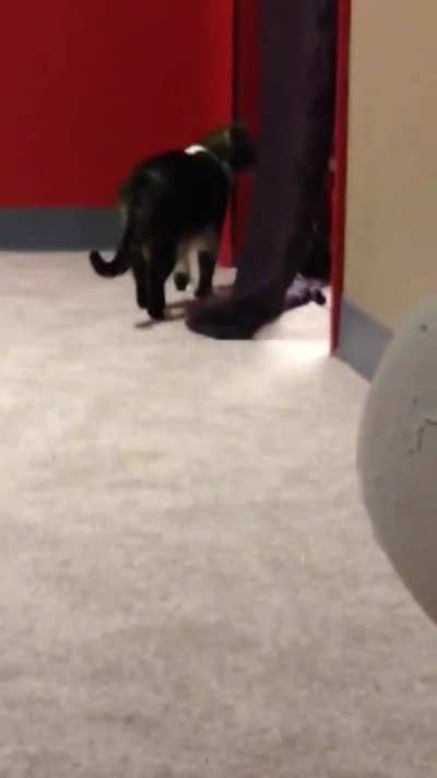 Sneak Attack