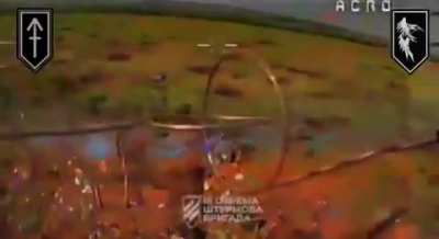 UA 3rd Assault Brigade&rsquo;s &ldquo;Primus&rdquo; drone team targeted Russian infantry and infantry positions using a combination of FPV strike drones and munition drops, as well as a few strikes on vehicles and equipment. Published June 29, 2024