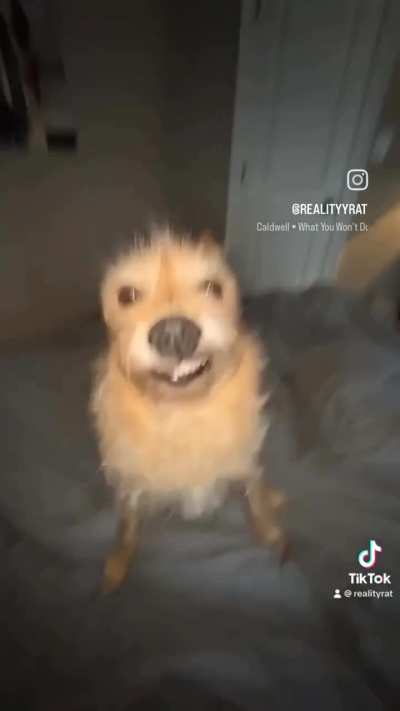 ele &eacute; muito lindo