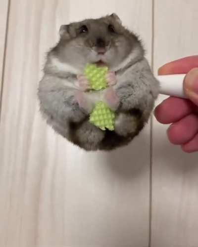 scoopful of ham