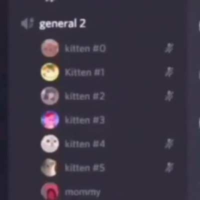 moldy kitten
