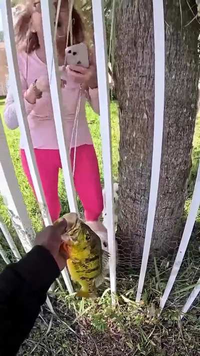 that&rsquo;s not your property maam!