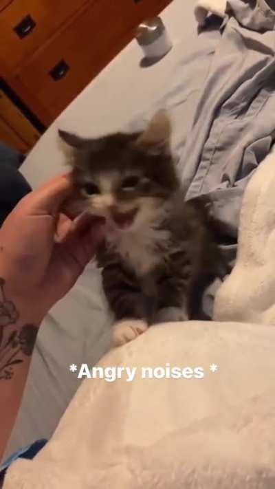 No Petting!
