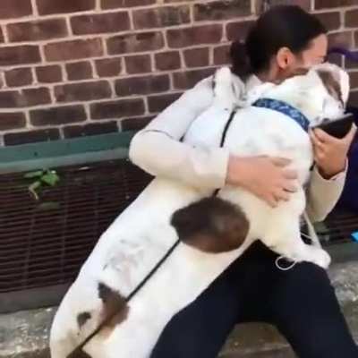 HeLlhOUnd brUtALLy dEvOUrIng InnOcEnt yOUng wOmAn