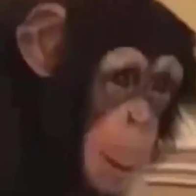 monke