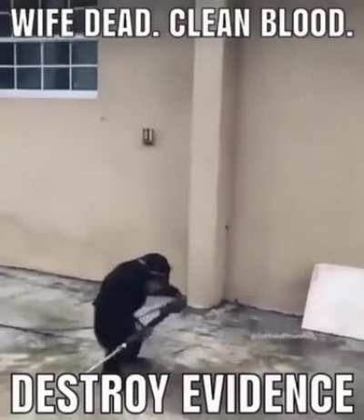 Shitpost