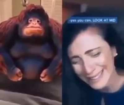 Wtfffff monkie inpostor😲😲😲😲😲😲