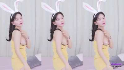 deer9805