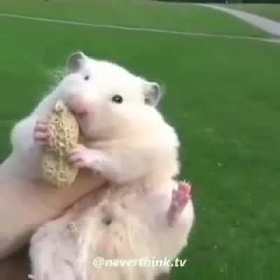 That's a pretty cute- oh