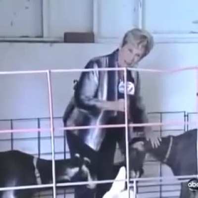 r/NiceGoats