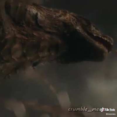 Godzilla vs Kong