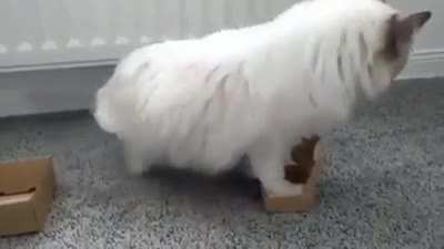 To fit in the box