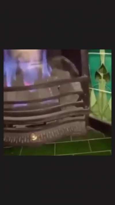 Why did you let your Cat get close to oven bruuuuh
