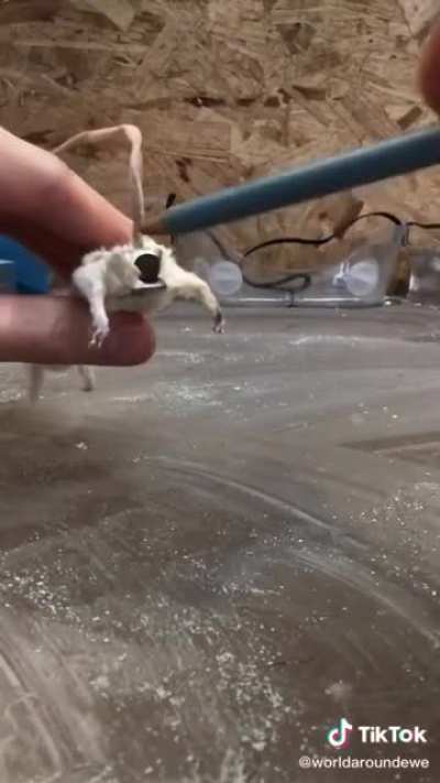 That&rsquo;s a unique pencil sharpener..