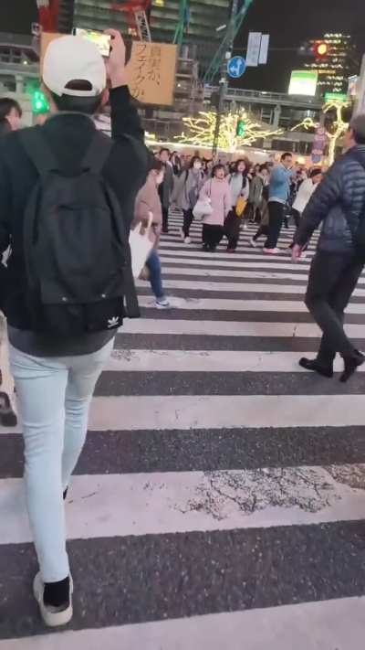 Bully in Japan’s Shibuya Crossing