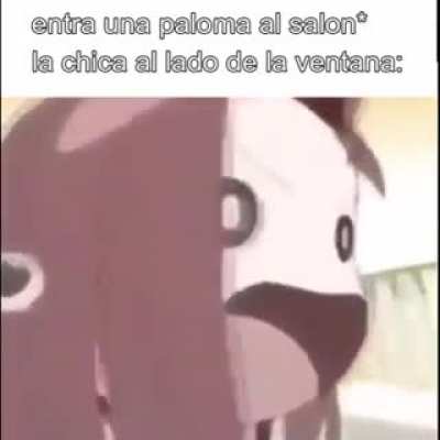 Pasa