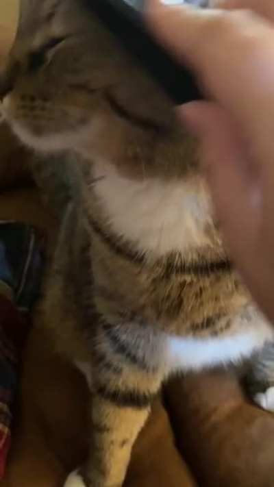 Currently in the hospital alone &amp;amp;&amp;amp; missing my babies. Here&rsquo;s some head brushies ❤️❤️