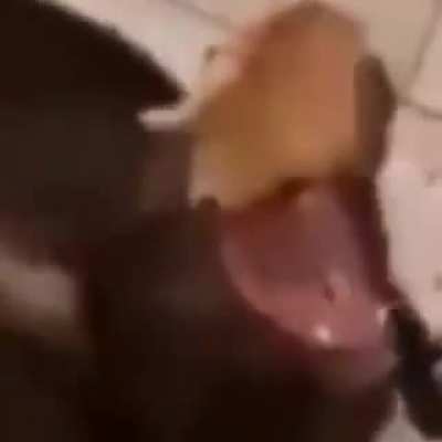 aaaaaaaaaaaaaa