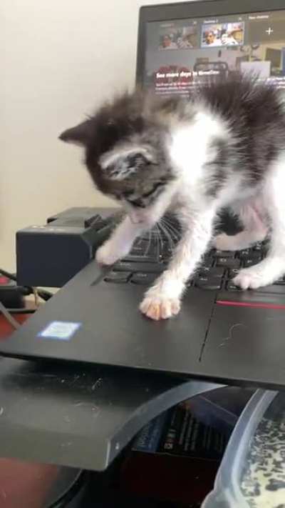 First she breaks into my office and now she&rsquo;s trying to do my job. What&rsquo;s next?!