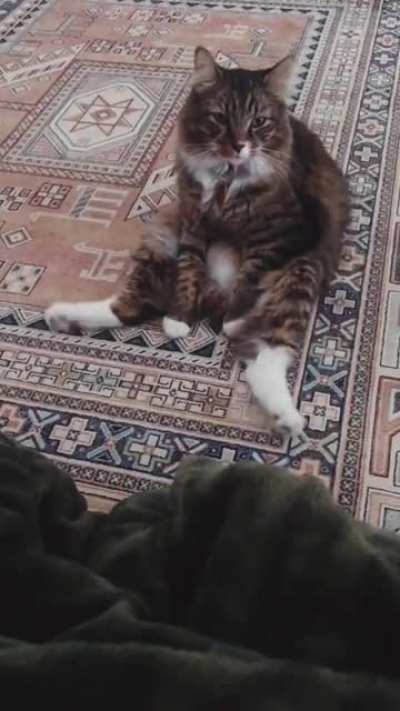 I think him broken.