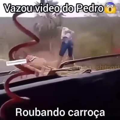 Vazo adm 😱😱😱😠😠😡😡