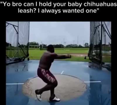 Bye bye chihuahua