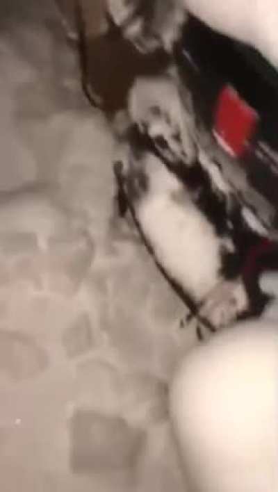 Нужно что то делать&hellip;