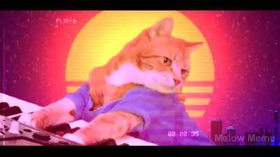 meow