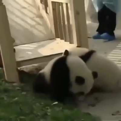 Yeahh... It's Funnn Time!!