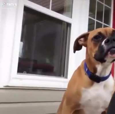Abrupt Yawn