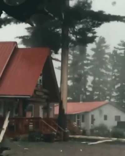 lightning vs tree vs roof
