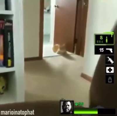 zoom