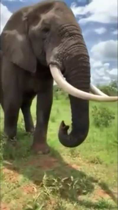 Wait for it!!