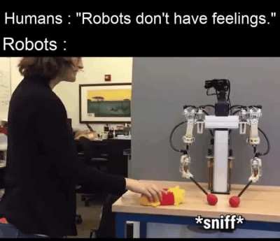 meirl