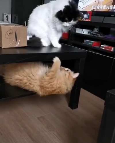 Love &amp;amp; Hate Relationship