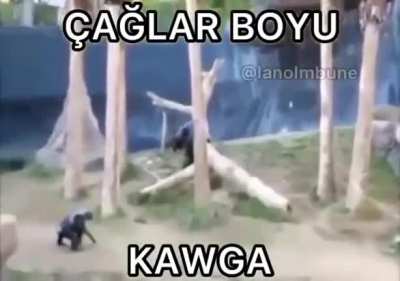 Bum pat k&uuml;r kabowww