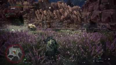My Palico is just something else.