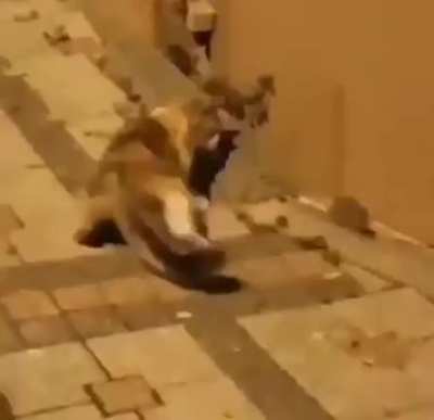 Oprima o opressor!