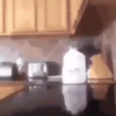 lactose
