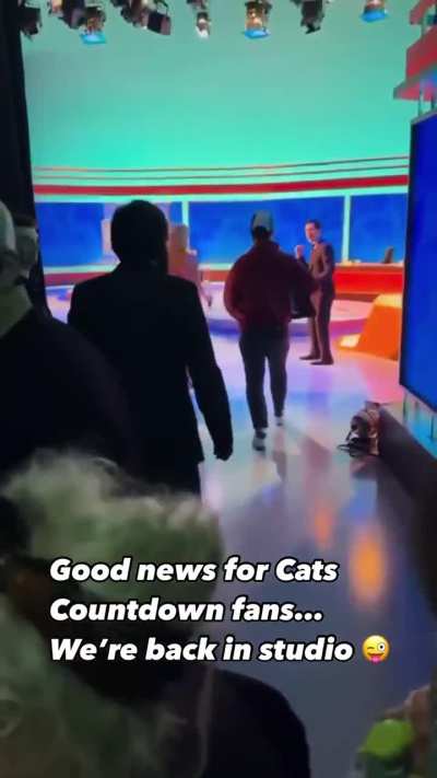 Good news Cats Countdown fans ...