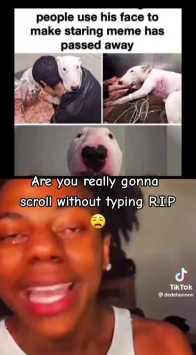 another legend down R.I.P.🕊️