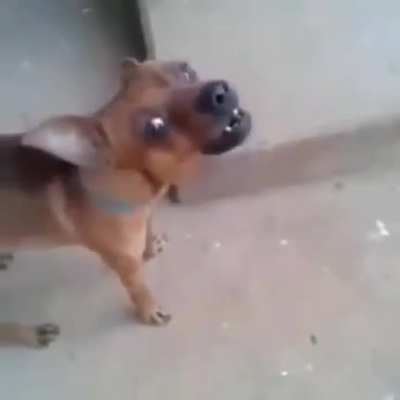 Xinga a m&atilde;e mas n&atilde;o diga isso!